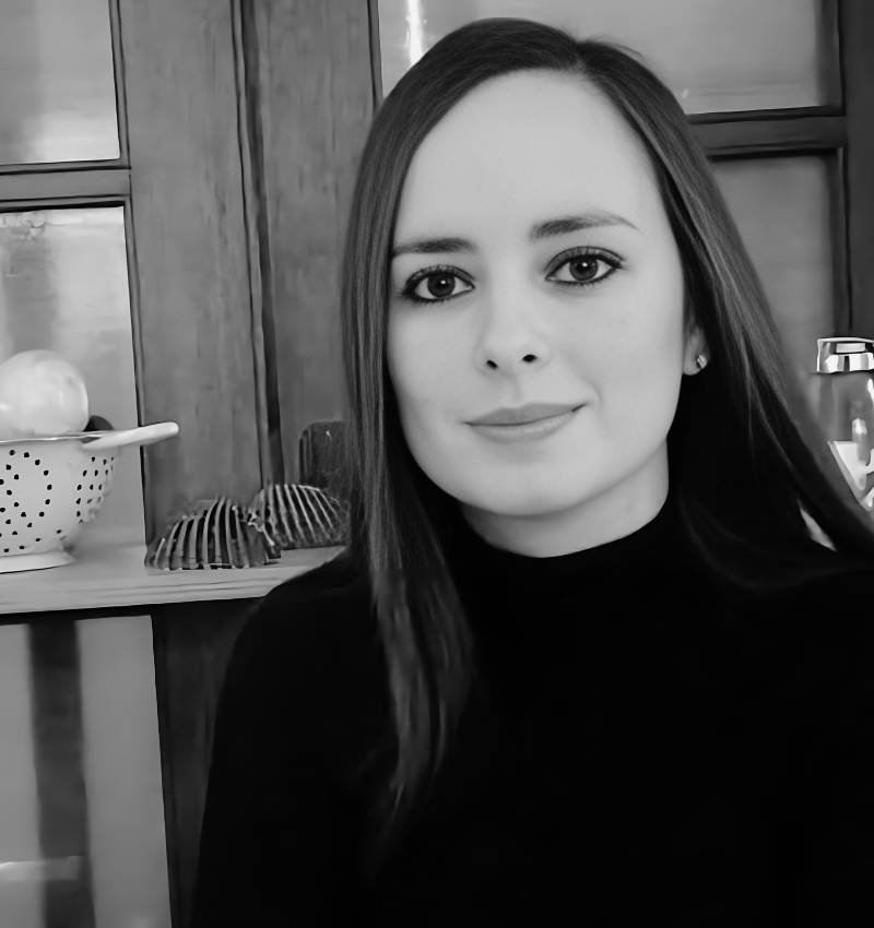 Image hover effect image