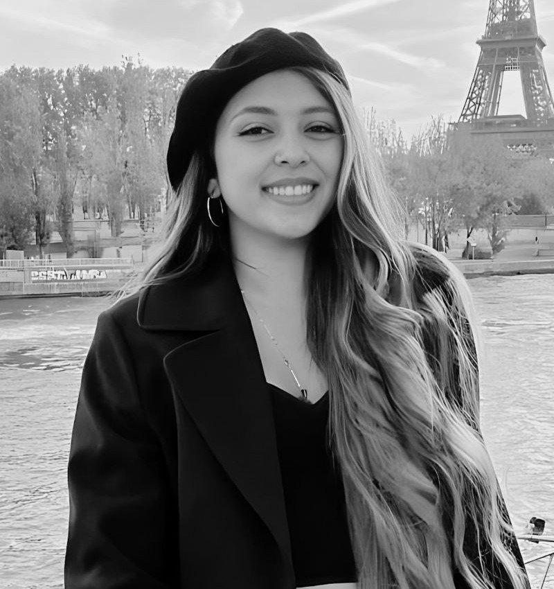 Image hover effect image